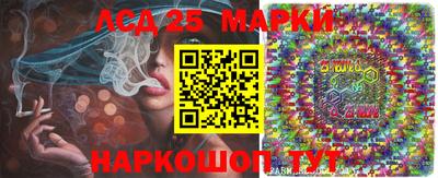 шишки Сланцы
