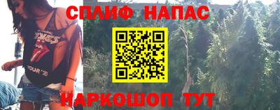 дмт Славянск-на-Кубани