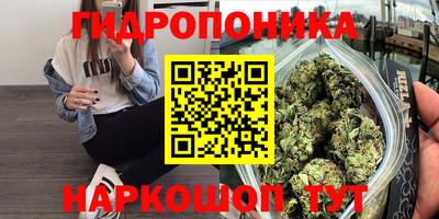 дмт Славянск-на-Кубани
