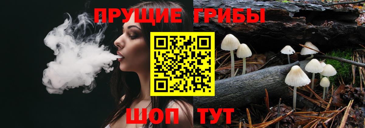 купить   Галлюциногенные грибы MAGIC MUSHROOMS  Вход с VPN  Торжок 